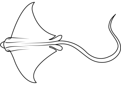 Spotted Eagle Ray (Aetobatus Narinari) Coloring Page